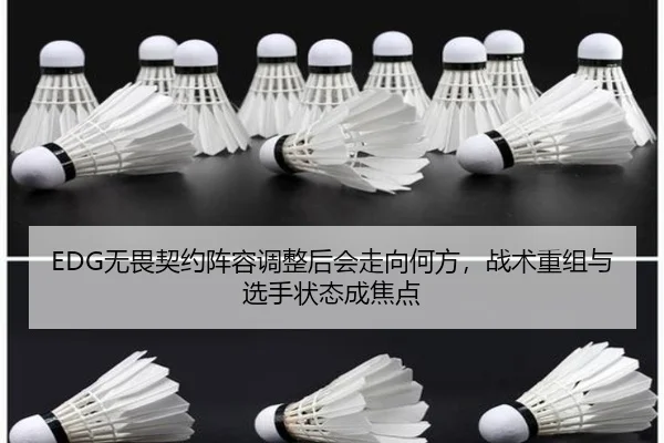 EDG无畏契约阵容调整后会走向何方，战术重组与选手状态成焦点