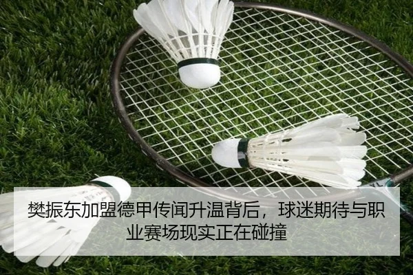 樊振东加盟德甲传闻升温背后，球迷期待与职业赛场现实正在碰撞 - youbotiyu